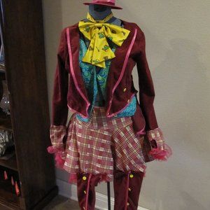 Alice in Wonderland Mad hatter costume